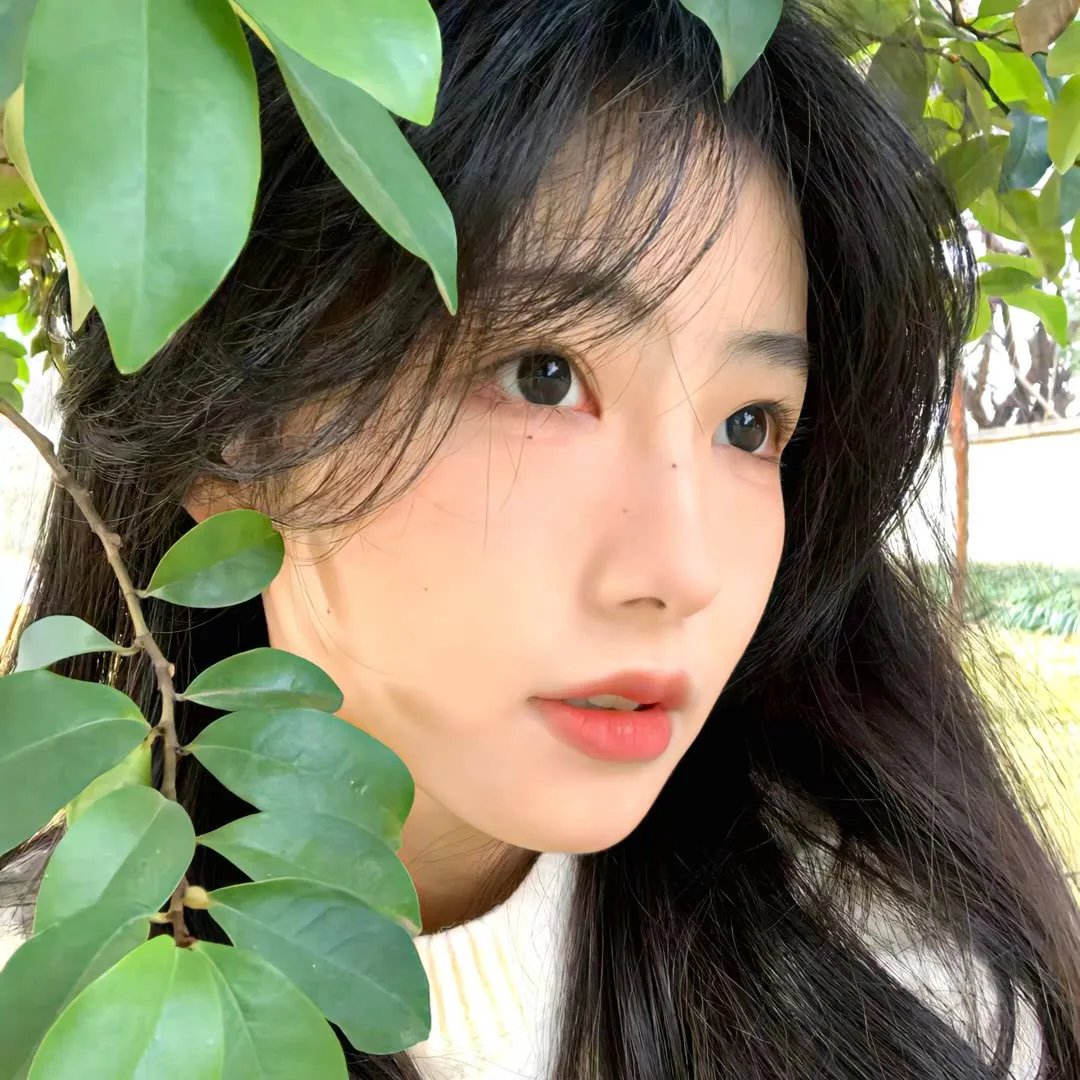 双面追缉